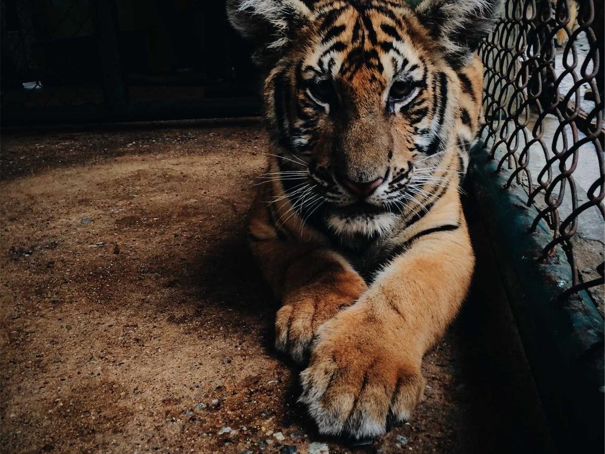 Kitchen tool essentials